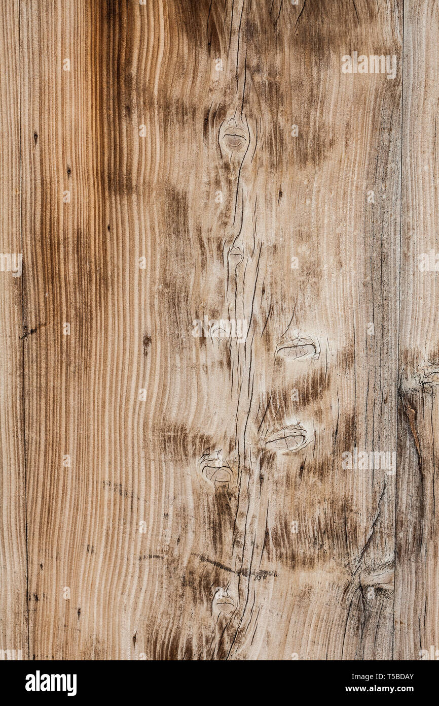 Wood surface, macro picture for high quality  textures. Stock Photo