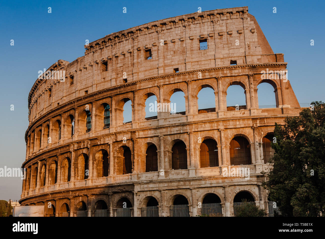 The Colosseum or Coliseum, also known as the Flavian Amphitheatre, is