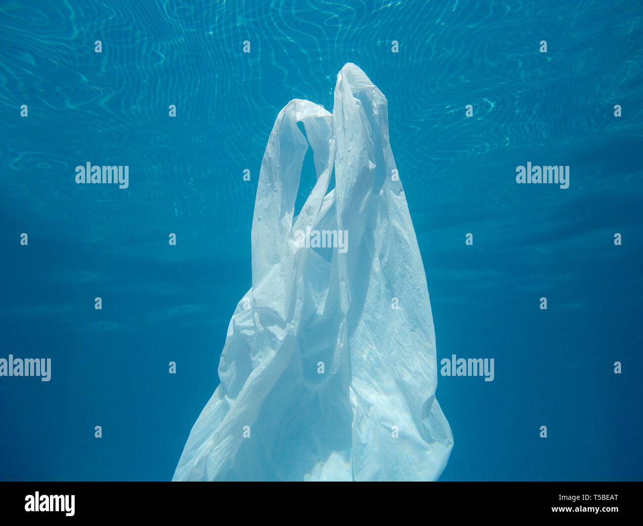 Plastic bag floating into the water. Polluted enviromental. Recycle garbage Stock Photo Alamy