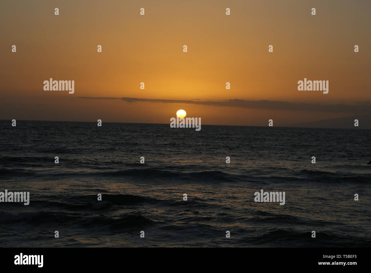 Golden sun horizon hi-res stock photography and images - Alamy