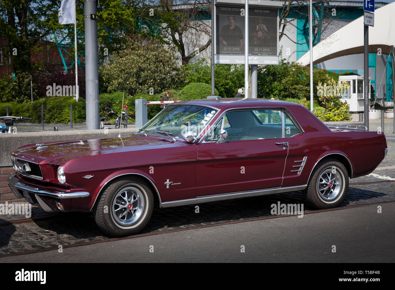 Ford Mustang 289 from the 1960s, Cologne, Germany.  Ford Mustang 289 aus den 60er Jahren, Koeln, Deutschland. Stock Photo