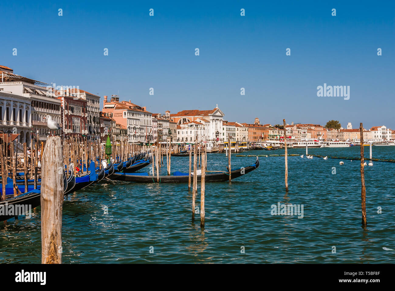 Gondola Cruise Ship Venice High Resolution Stock Photography and Images ...