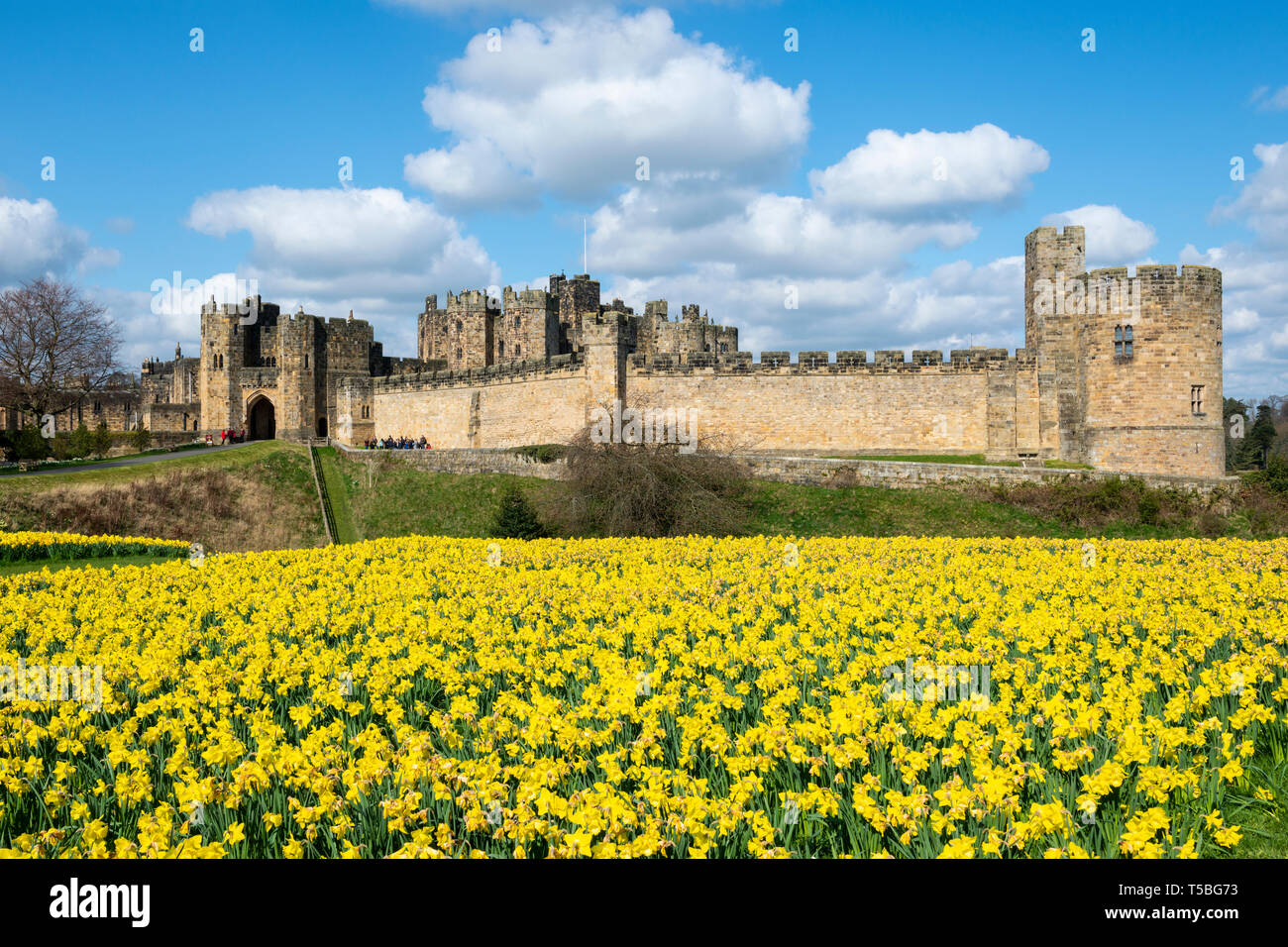 Spring colours at Alnwick Castle in Northumberland, England, UK Stock Photo