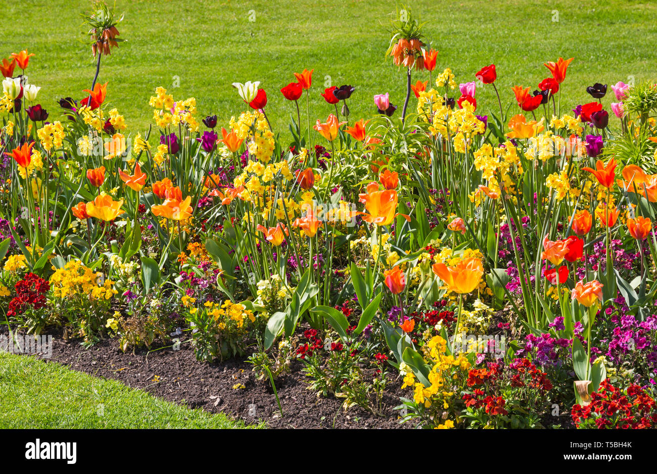 Spring flowers in bournemouth lower gardens hires stock photography