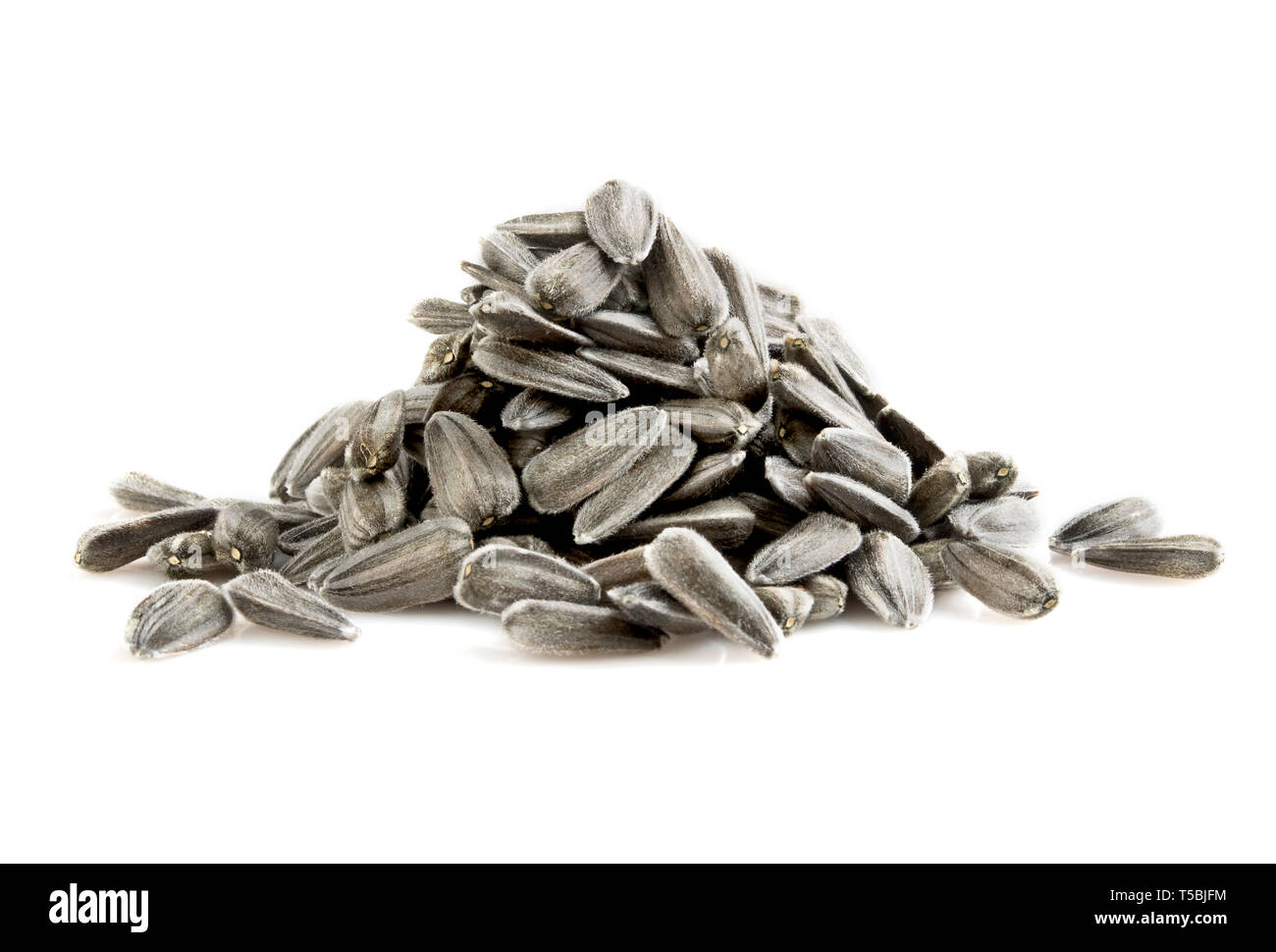 Pile of sunflower seeds isolated on white background Stock Photo - Alamy