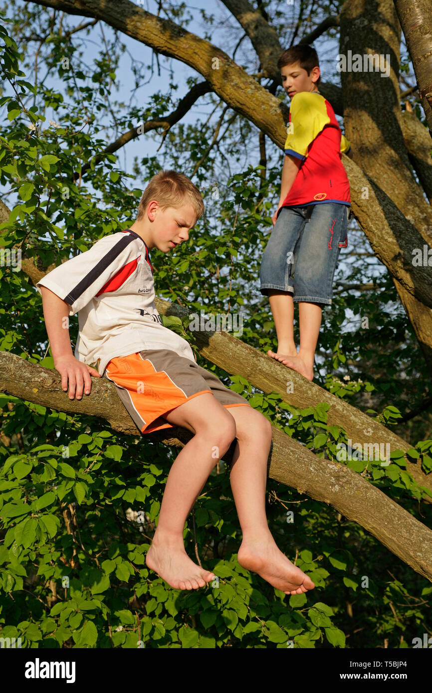 Page 2 Boy Climbing Tree Barefoot High Resolution Stock Photography