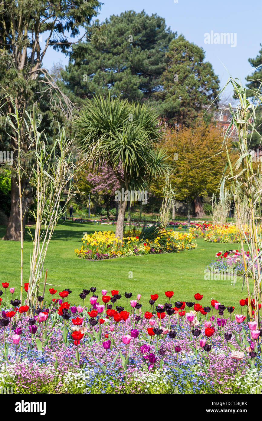 Spring flowers in bournemouth lower gardens hires stock photography