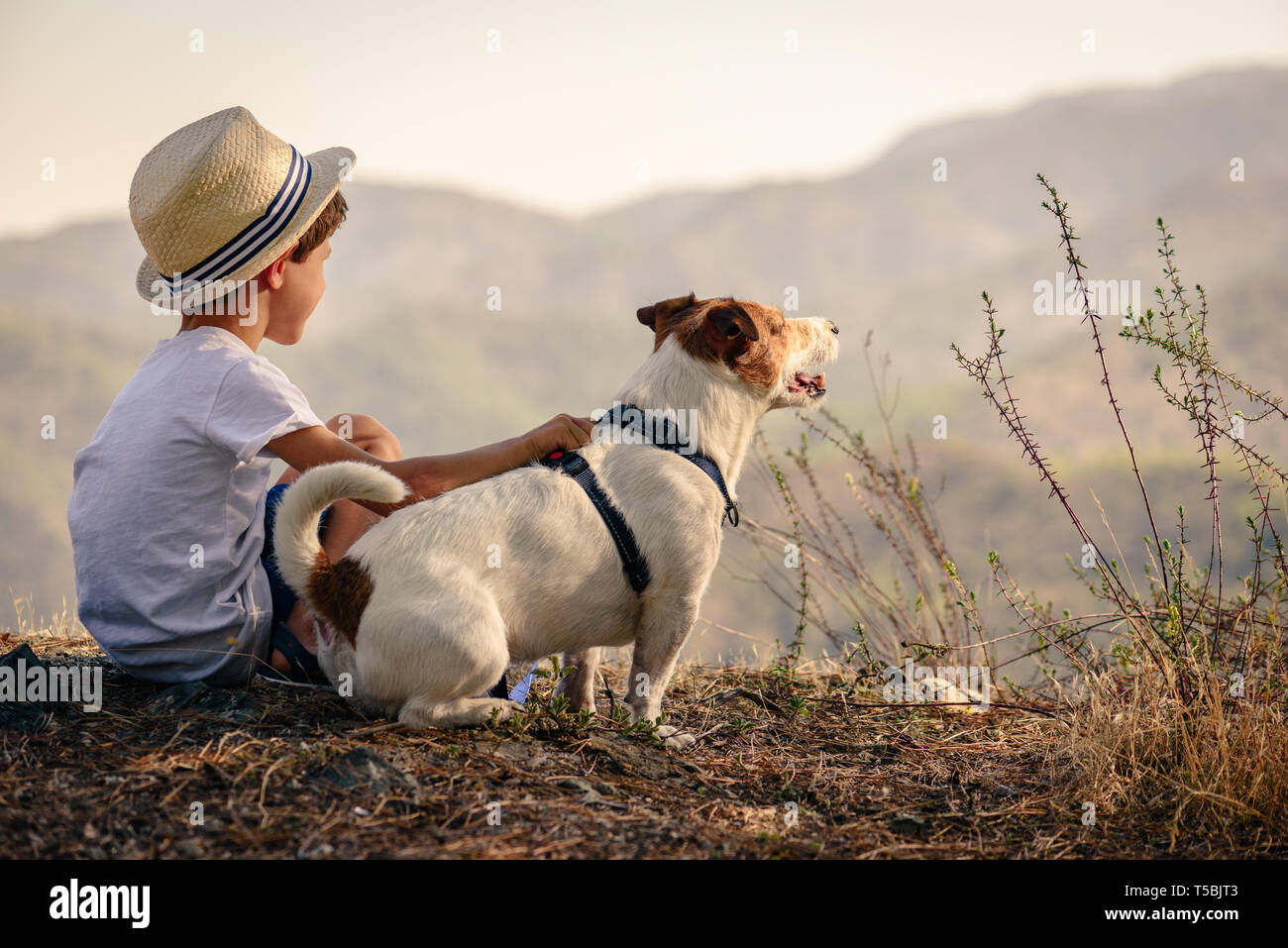 Kid hugging his pet dog looking on mountain view Stock Photo