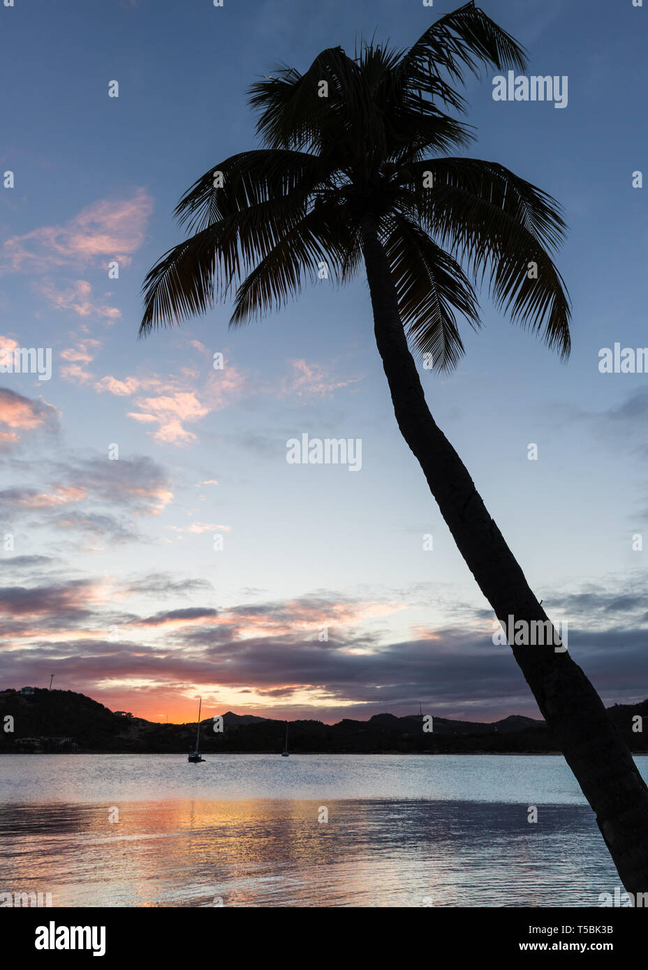 Palm tree at sea in sunset hi-res stock photography and images - Alamy