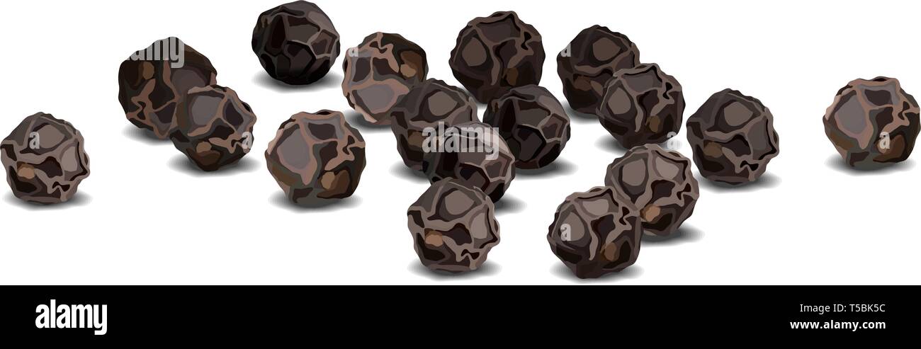 Black pepper close up realistic vector illustration Stock Vector