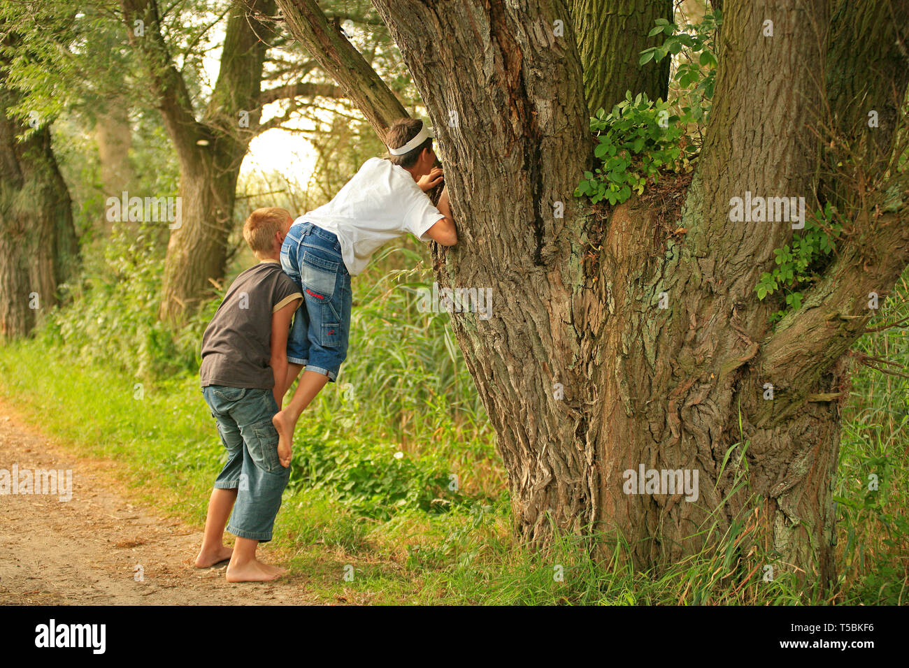 barefoot boys climbing a tree Stock Photo Alamy