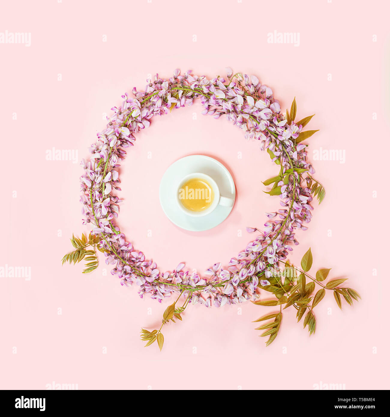 Cup of coffee in circle of beautiful wisteria flowers branch with blossoms buds on pink background. Stock Photo