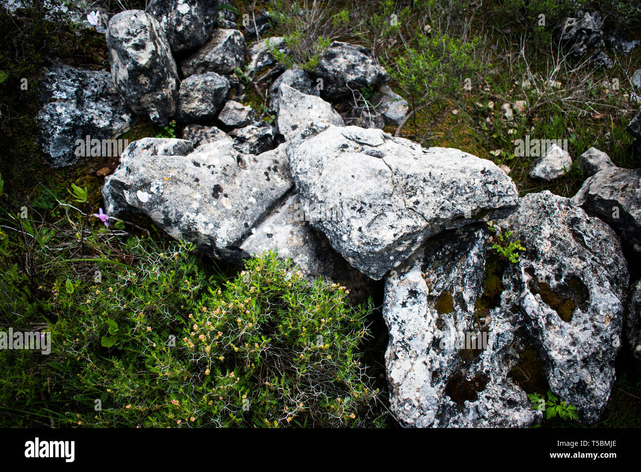 This is a capture of a landscape taken in Lebanon during spring 2019 and you can see the beautiful colors of nature Stock Photo