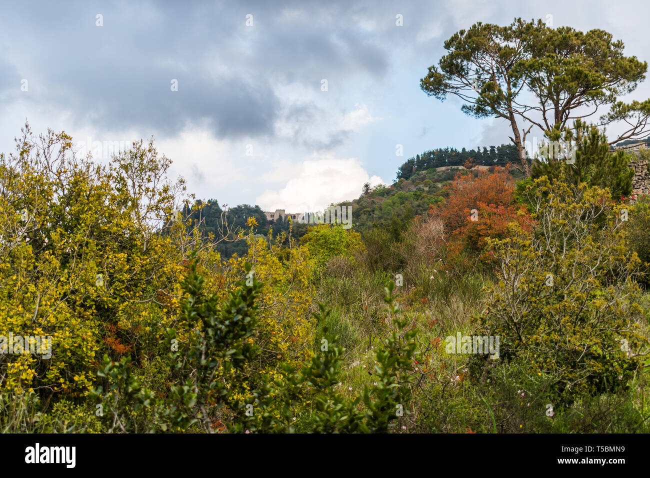 This is a capture of a landscape taken in Lebanon during spring 2019 and you can see the beautiful colors of nature Stock Photo