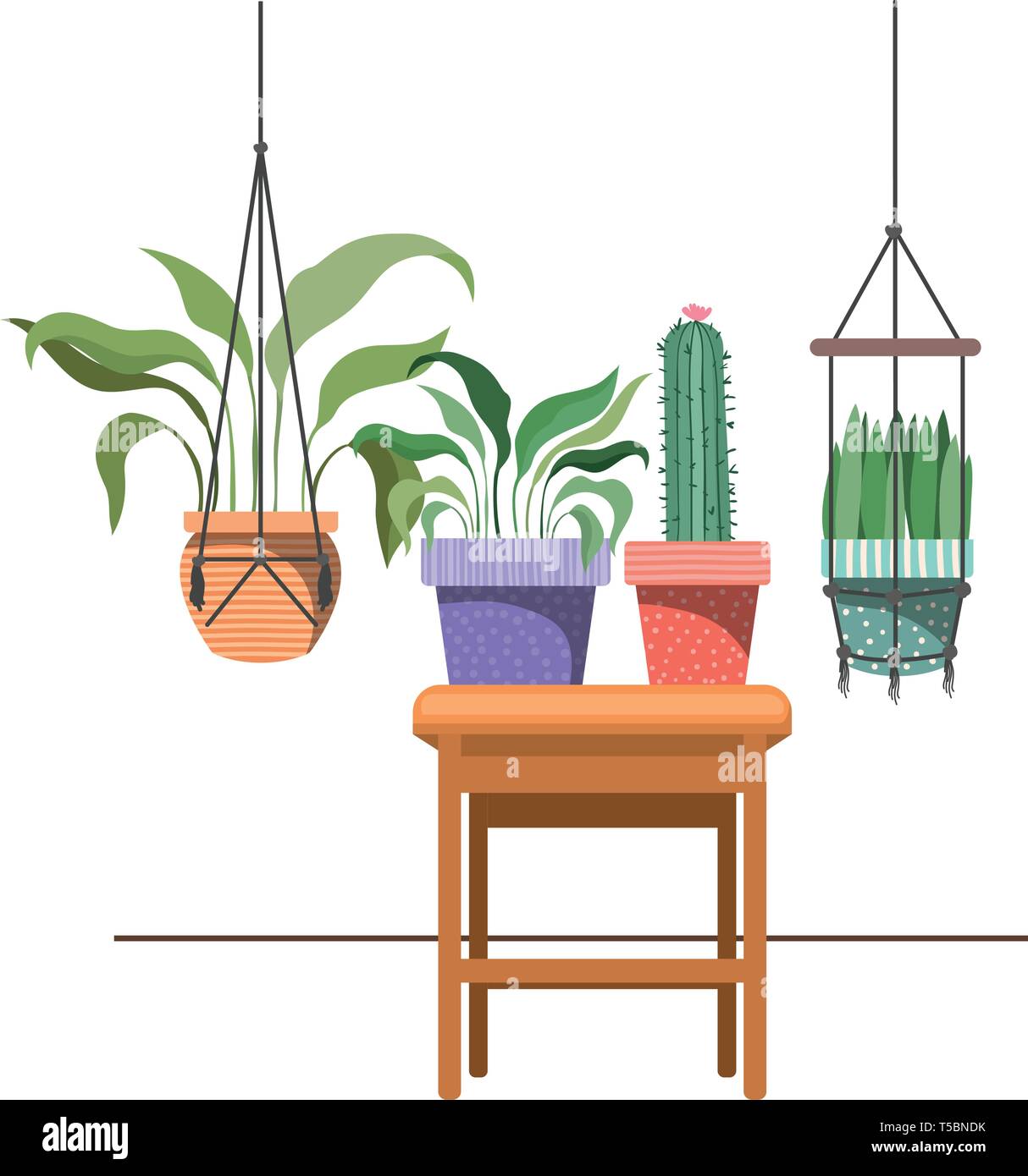 houseplants on macrame hangers and table Stock Vector