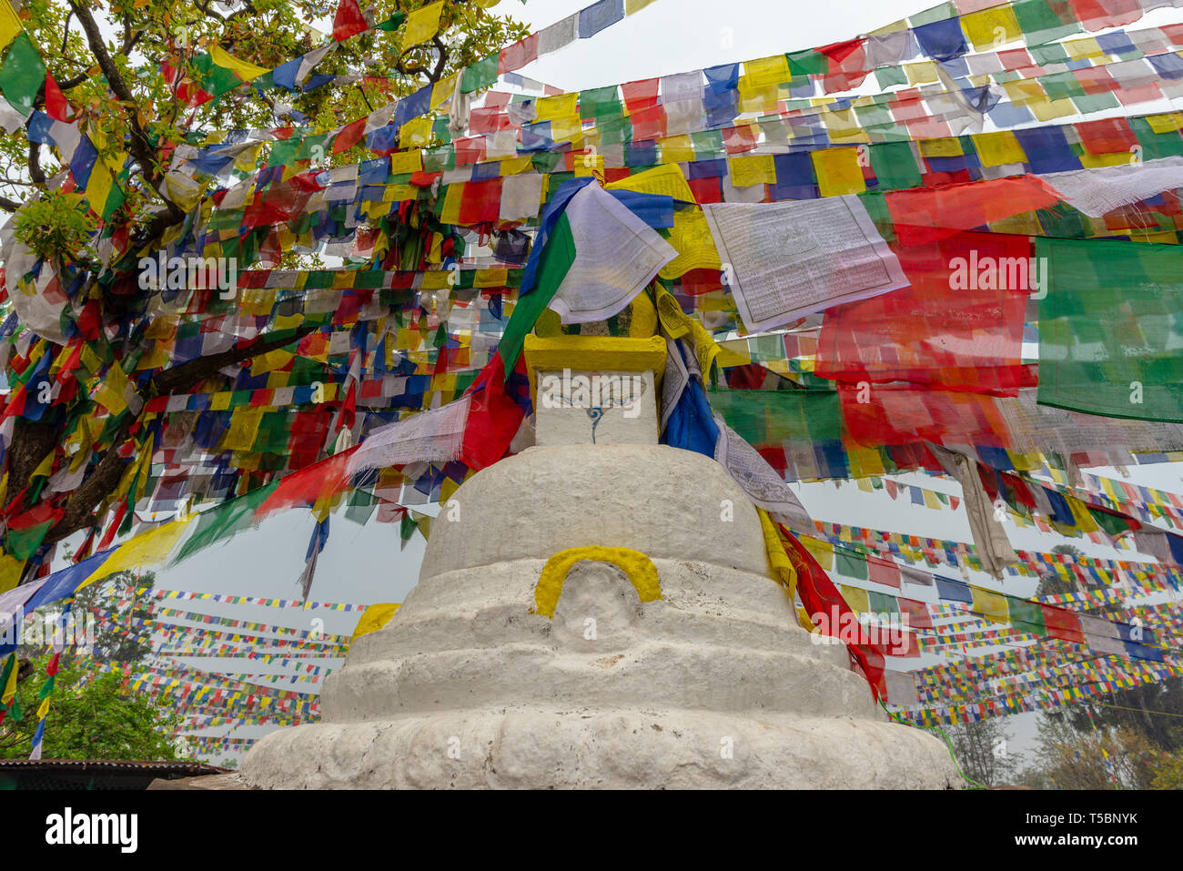 One stuppa (buddhist religious monument) and many prayer flags on an overcast spring morning at the monkey temple in Kathmandu, Nepal Stock Photo