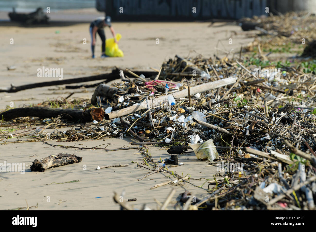 Durban, KwaZuluNatal, South Africa, plastic pollution, citizen