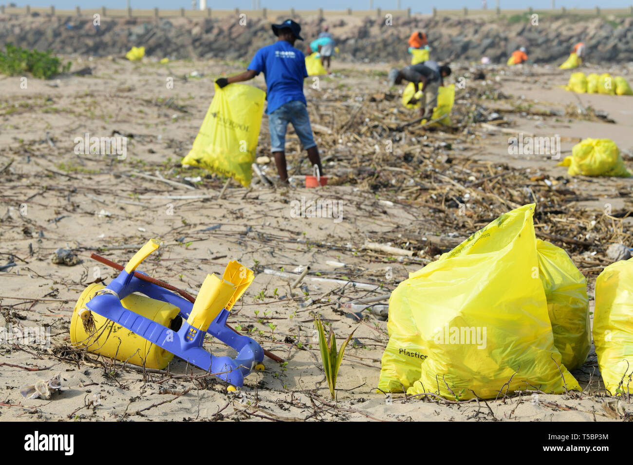 Durban, KwaZuluNatal, South Africa, plastic pollution, bags, citizen