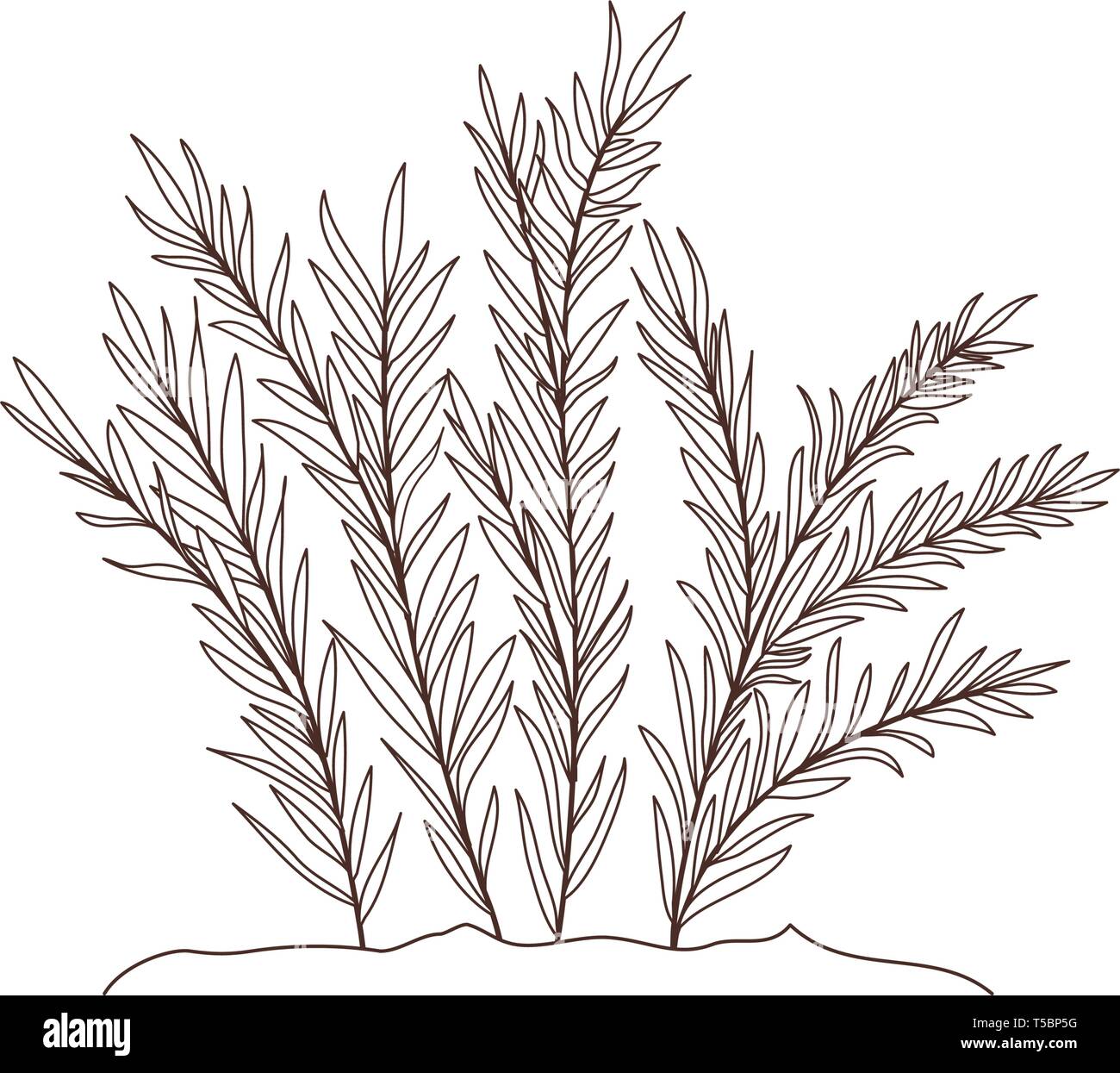plant in landscape isolated icon Stock Vector Image & Art - Alamy