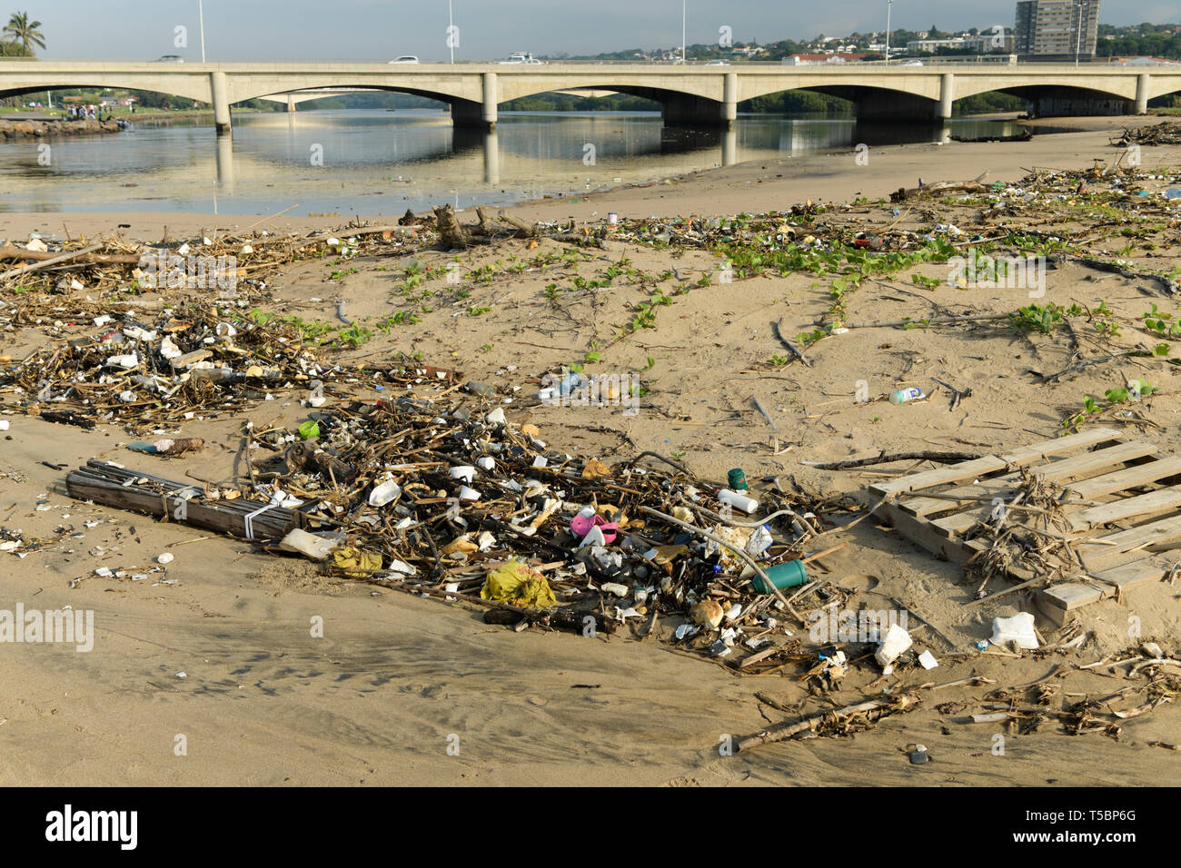 Durban, KwaZuluNatal, South Africa, plastic pollution, objects