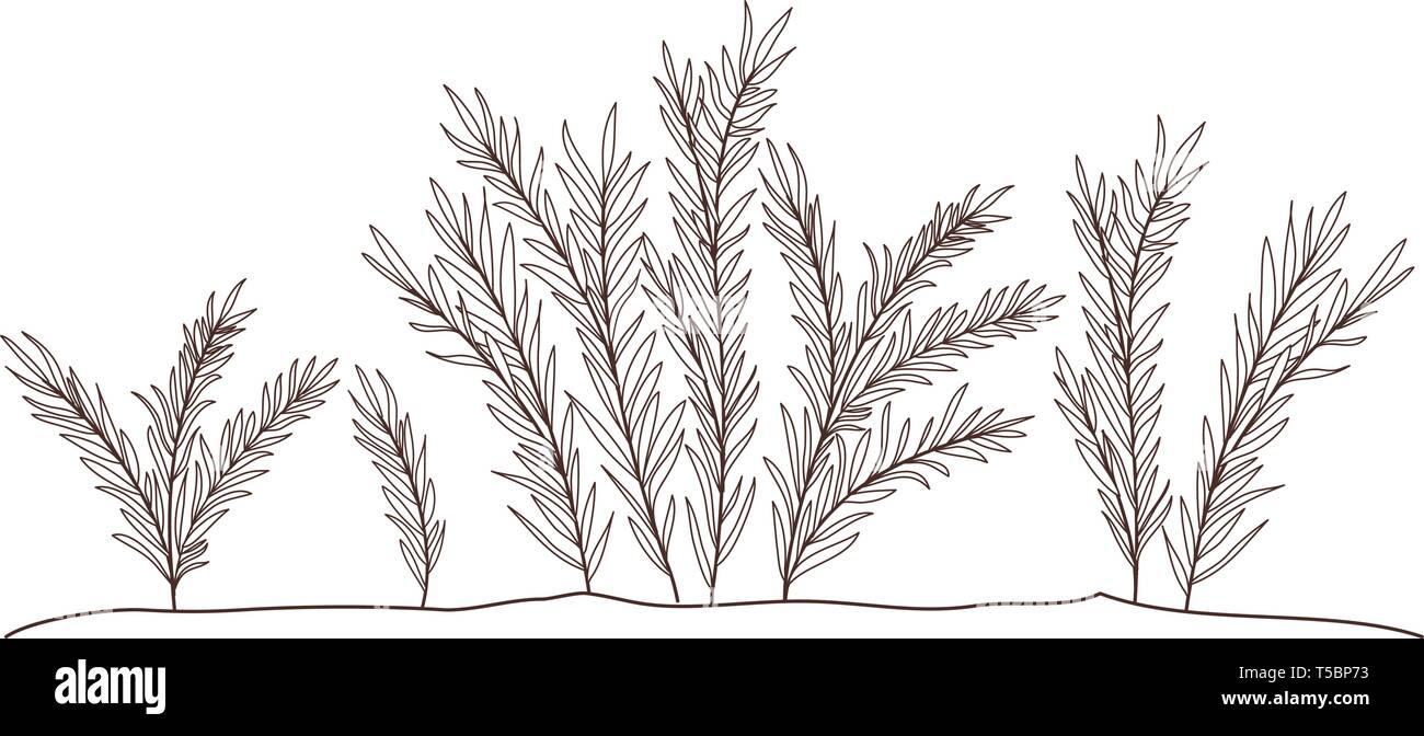 plant in landscape isolated icon Stock Vector Image & Art - Alamy