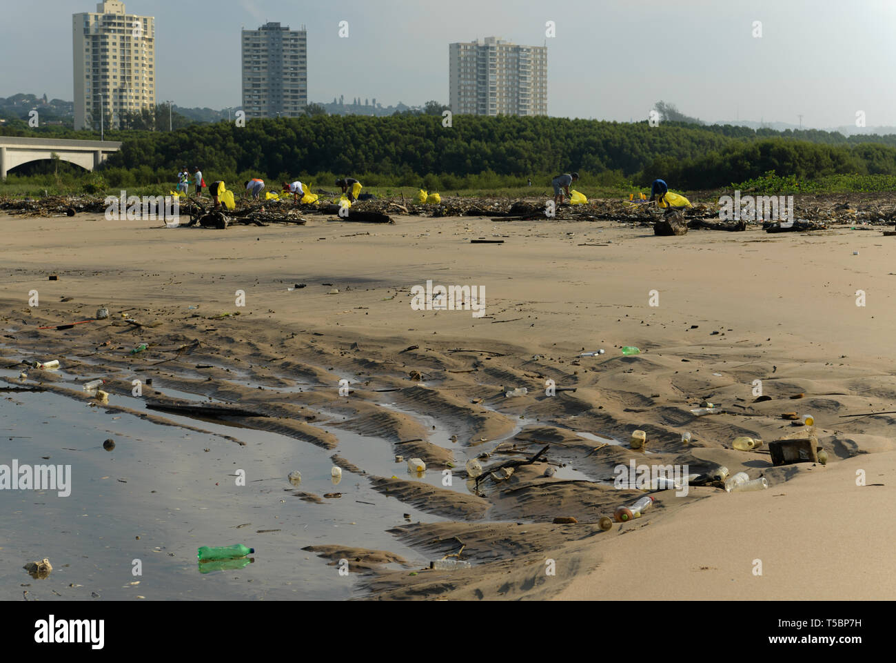 Durban, KwaZuluNatal, South Africa, plastic pollution, citizen