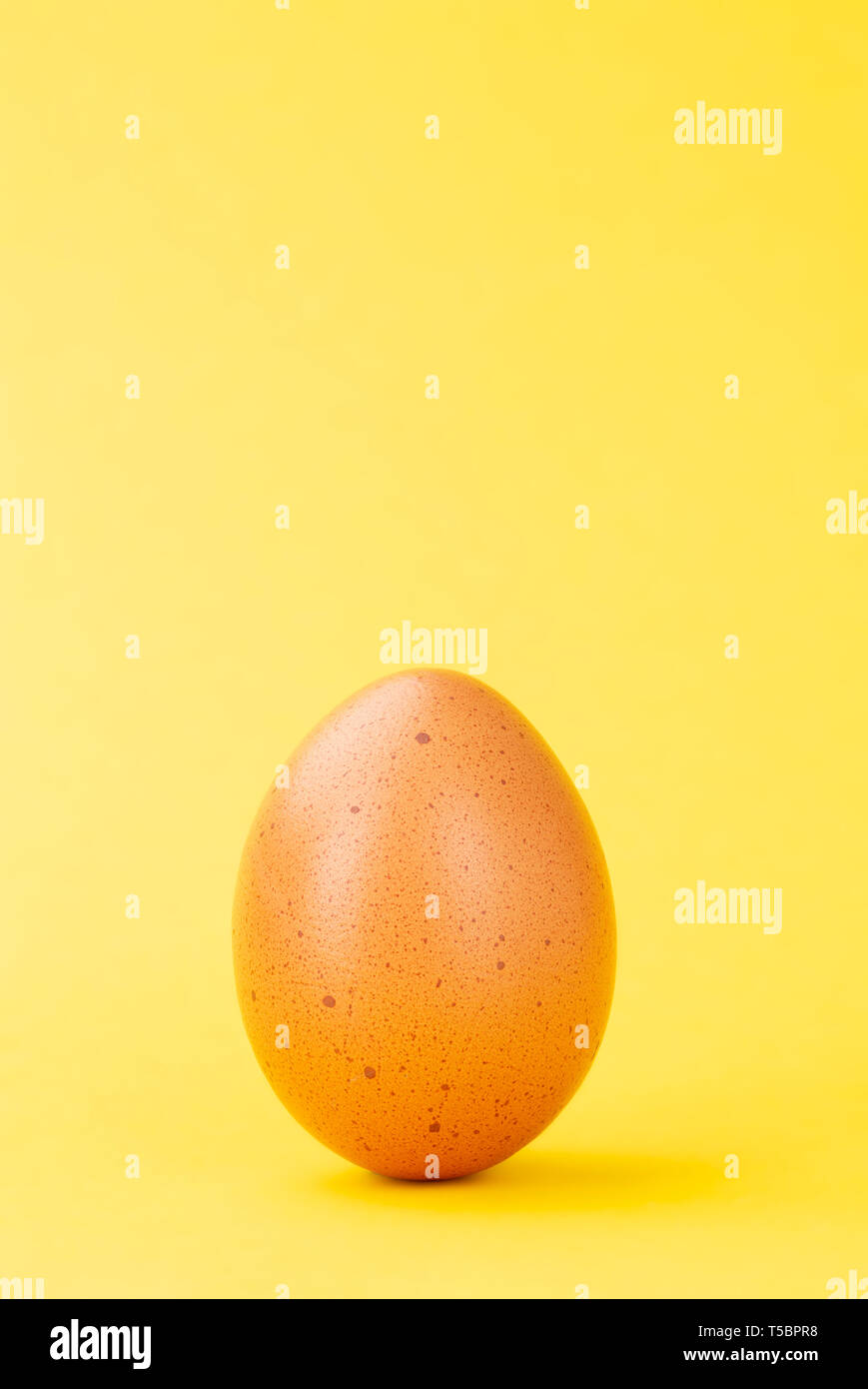 brown egg upright on colored yellow background full frame Stock Photo