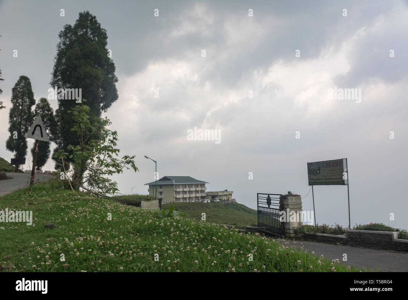 Cherry resort at Temi Tea estate,Sikkim,India Stock Photo - Alamy