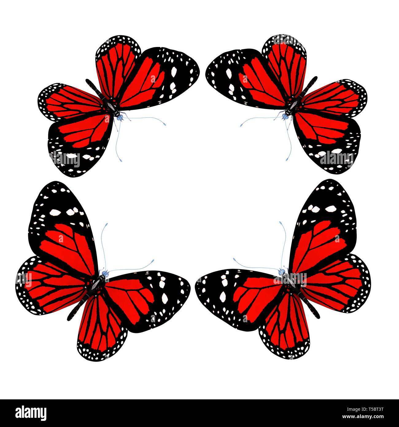 butterflies isolated on white background Stock Photo - Alamy