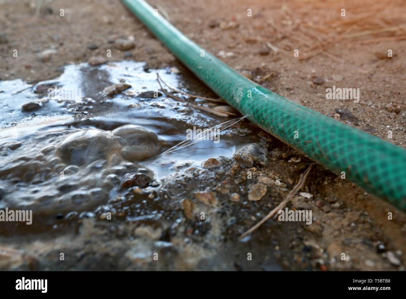 A hole in the irrigation hose. Damaged hose Stock Photo Alamy
