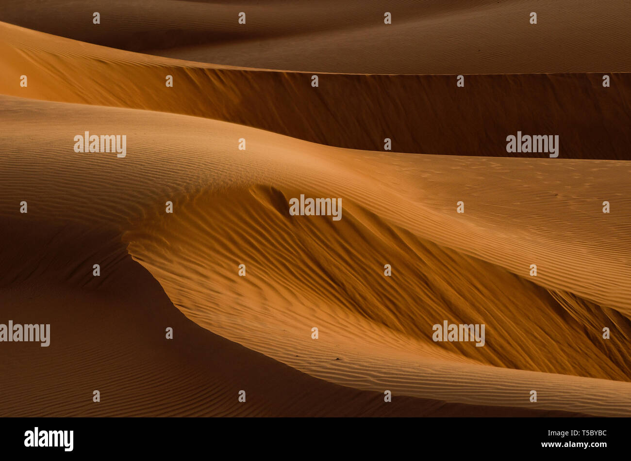 Sand dunes in the desert of Oman near A'Sharqiyah Sands Stock Photo