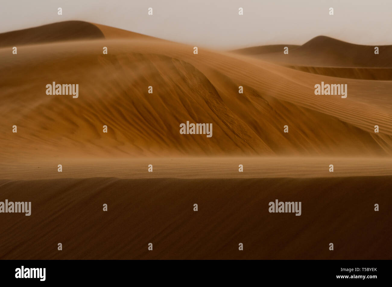 Wind blows the desert of Oman near A'Sharqiyah Sands Stock Photo