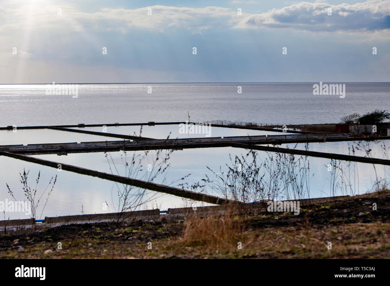 Tanks for growing shrimp on the coast. Cuba Stock Photo