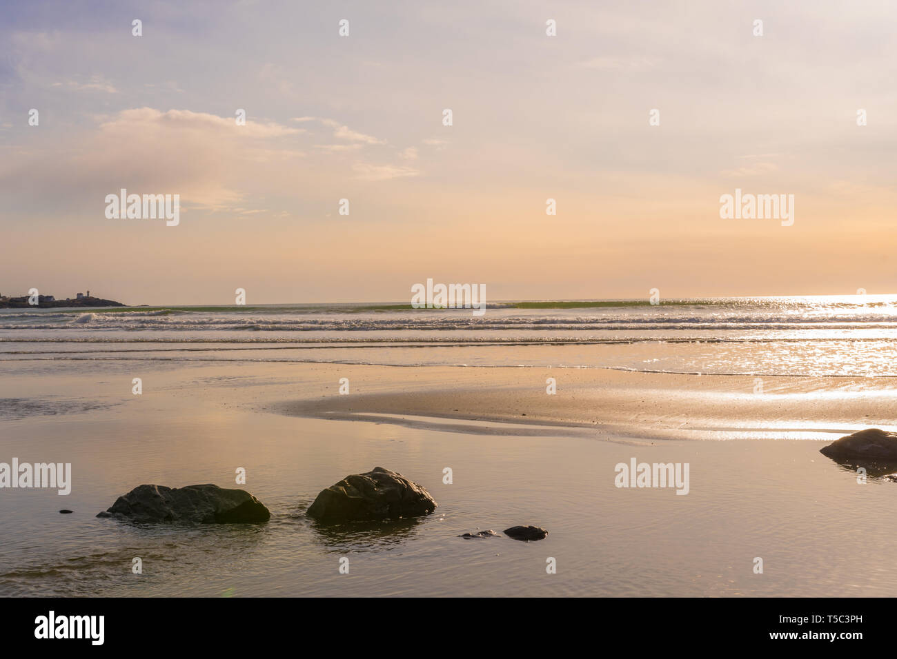 Long Sands Beach: The Best Beach in Maine for Sand Dollars