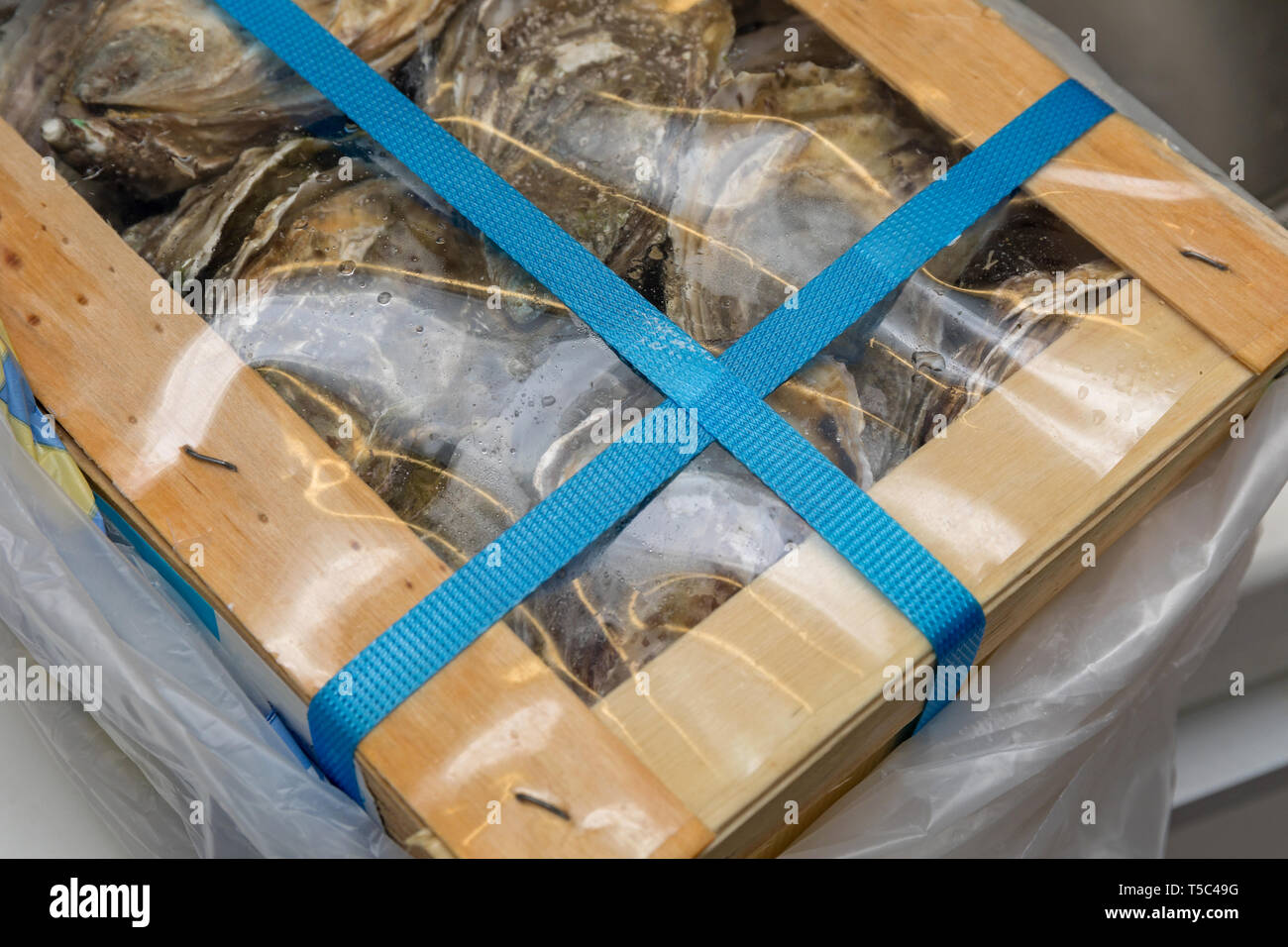 Fresh Oysters Packed in Transport Box Seafood Stock Photo Alamy