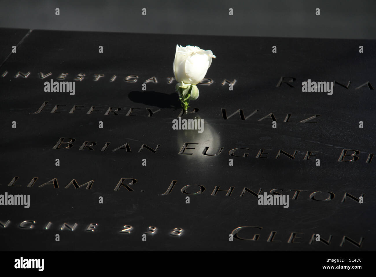White rose and names of victims of the 9/11/2001 attack on the Twin Towers.  The National September 11 Memorial in Manhattan, NYC, USA. Stock Photo