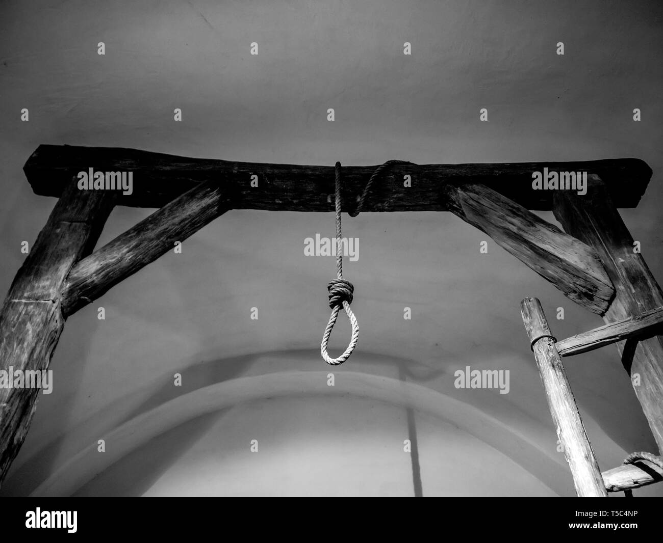 VARPALOTA, HUNGARY - APRIL 13, 2019: View on a gallows tree in the Thury castle in Varpalota, Hungary. Stock Photo