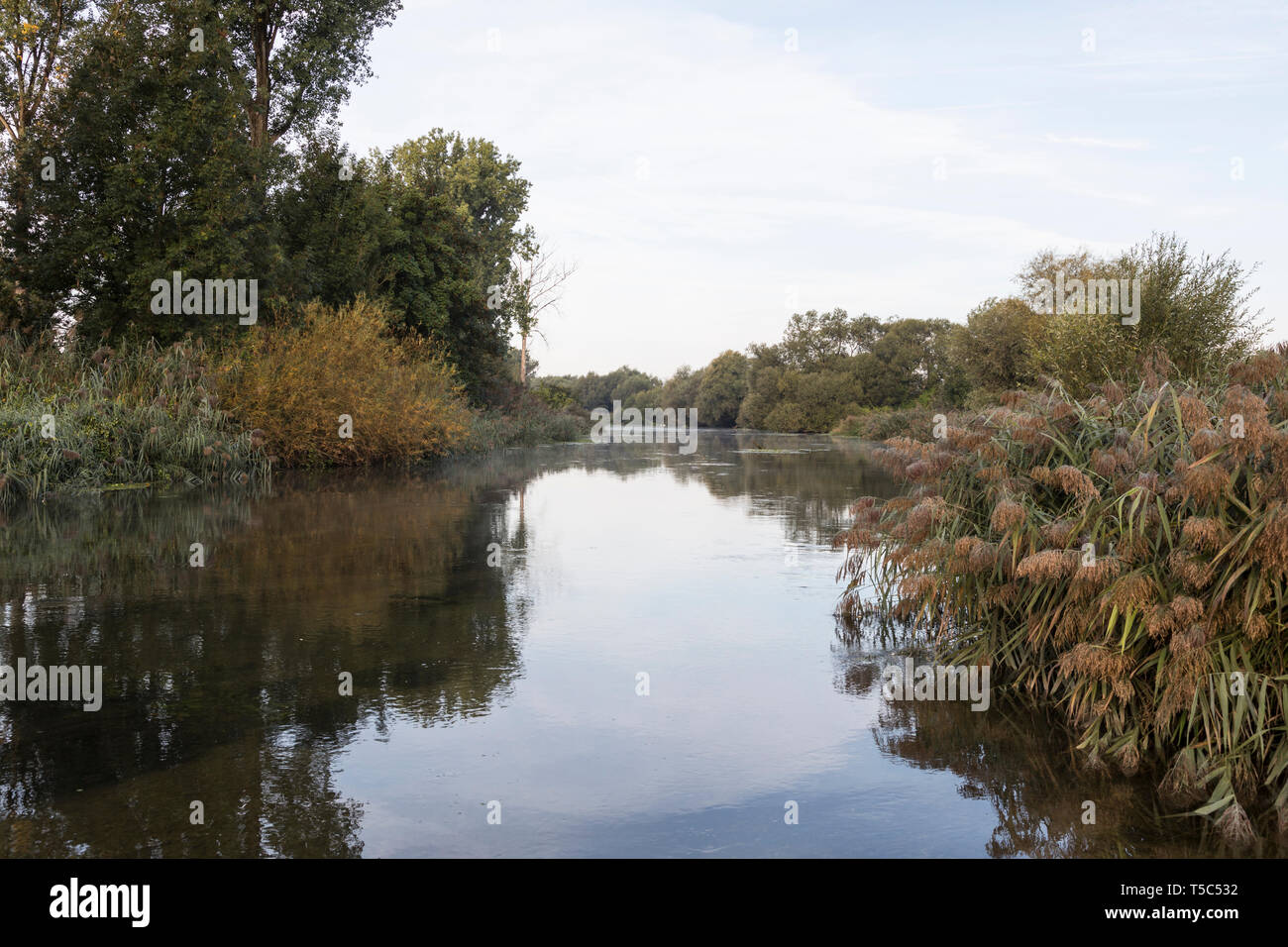 Isar Altwasser Stock Photo