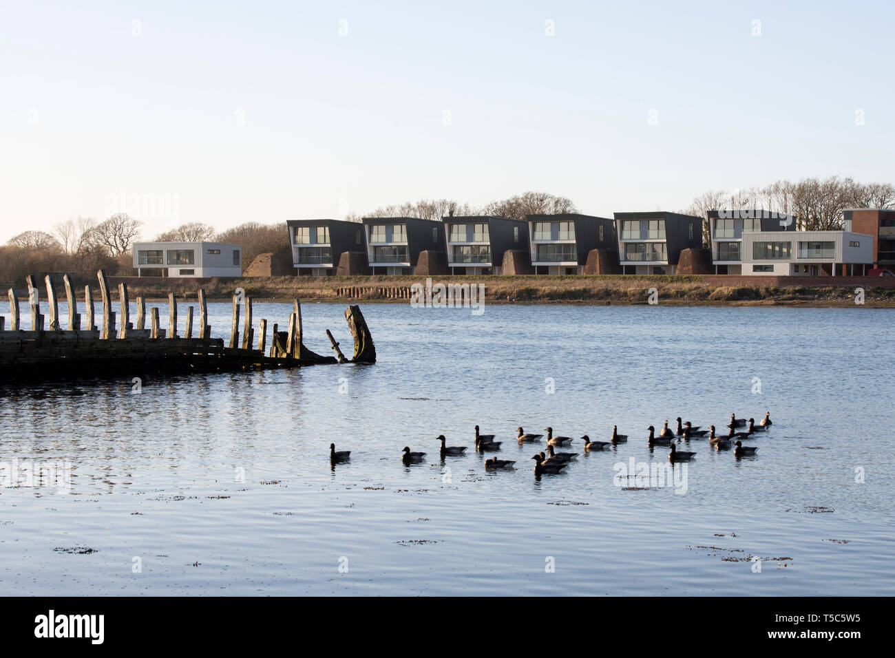 View across the river to houses with historic shipwreck in foreground