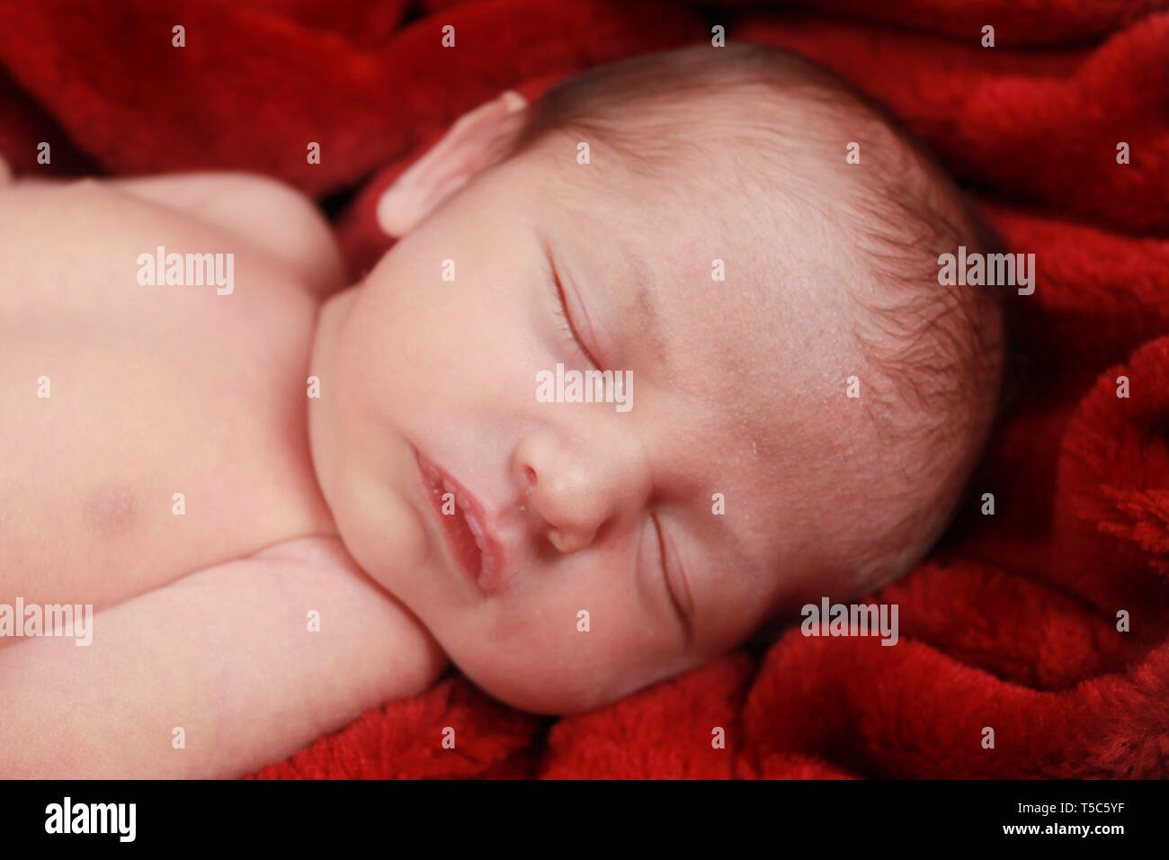 new born baby boy Stock Photo