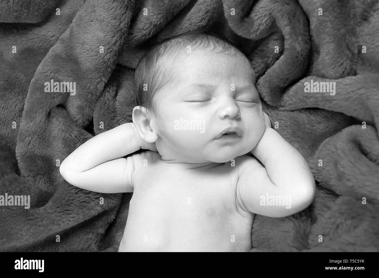 new born baby boy sleeping Stock Photo Alamy