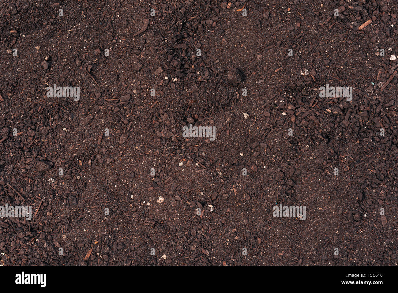 Potting soil top view texture as background Stock Photo