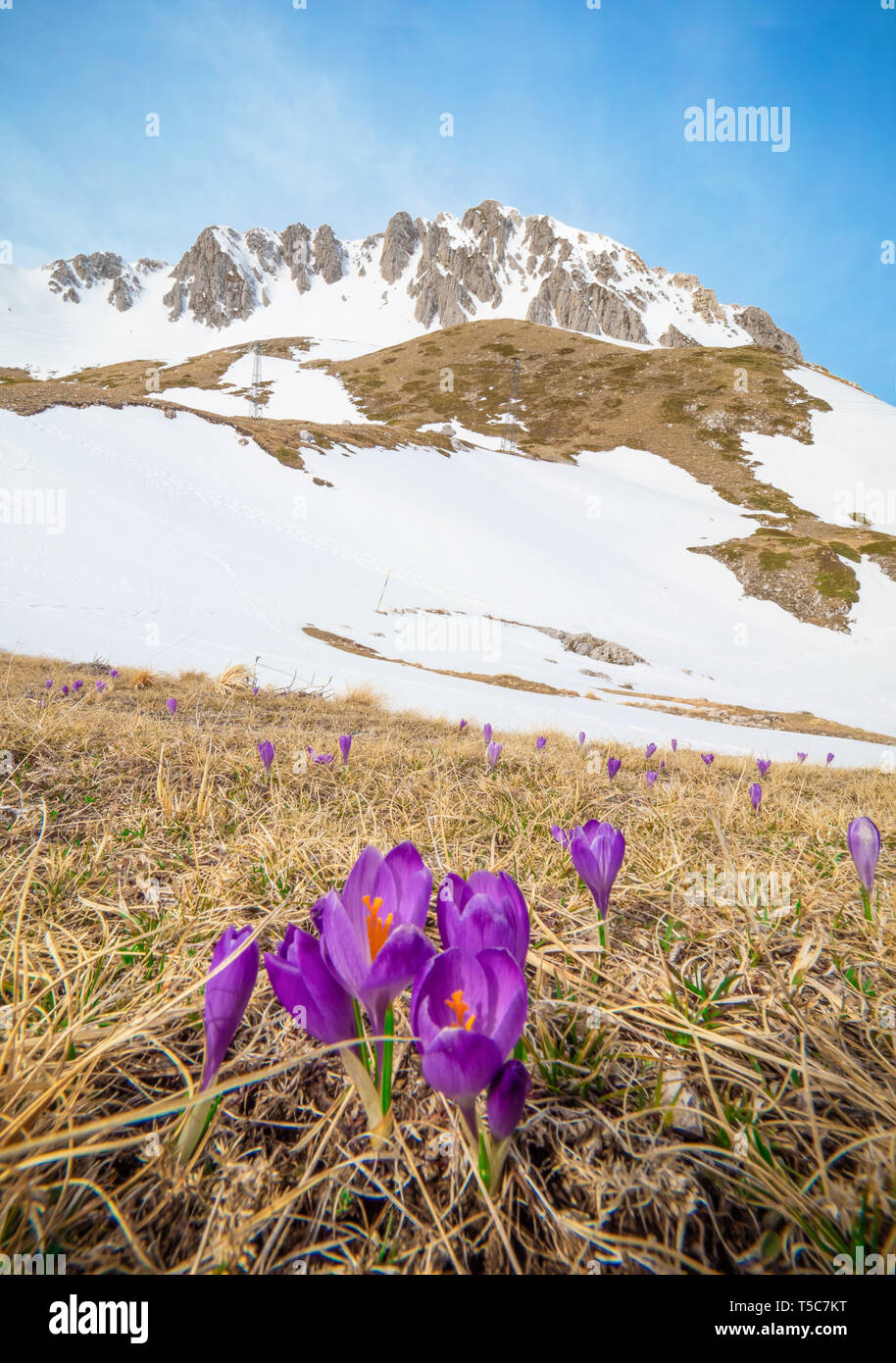 Mountain Ranges In Rome Rieti mountain range hi-res stock photography and images - Alamy