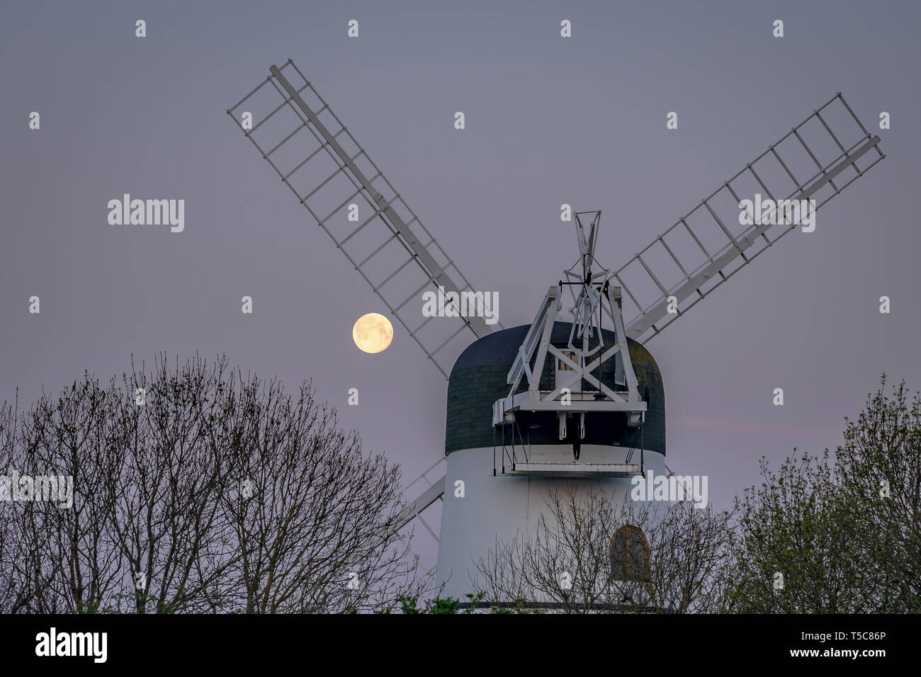 Setting moon over windmill Stock Photo