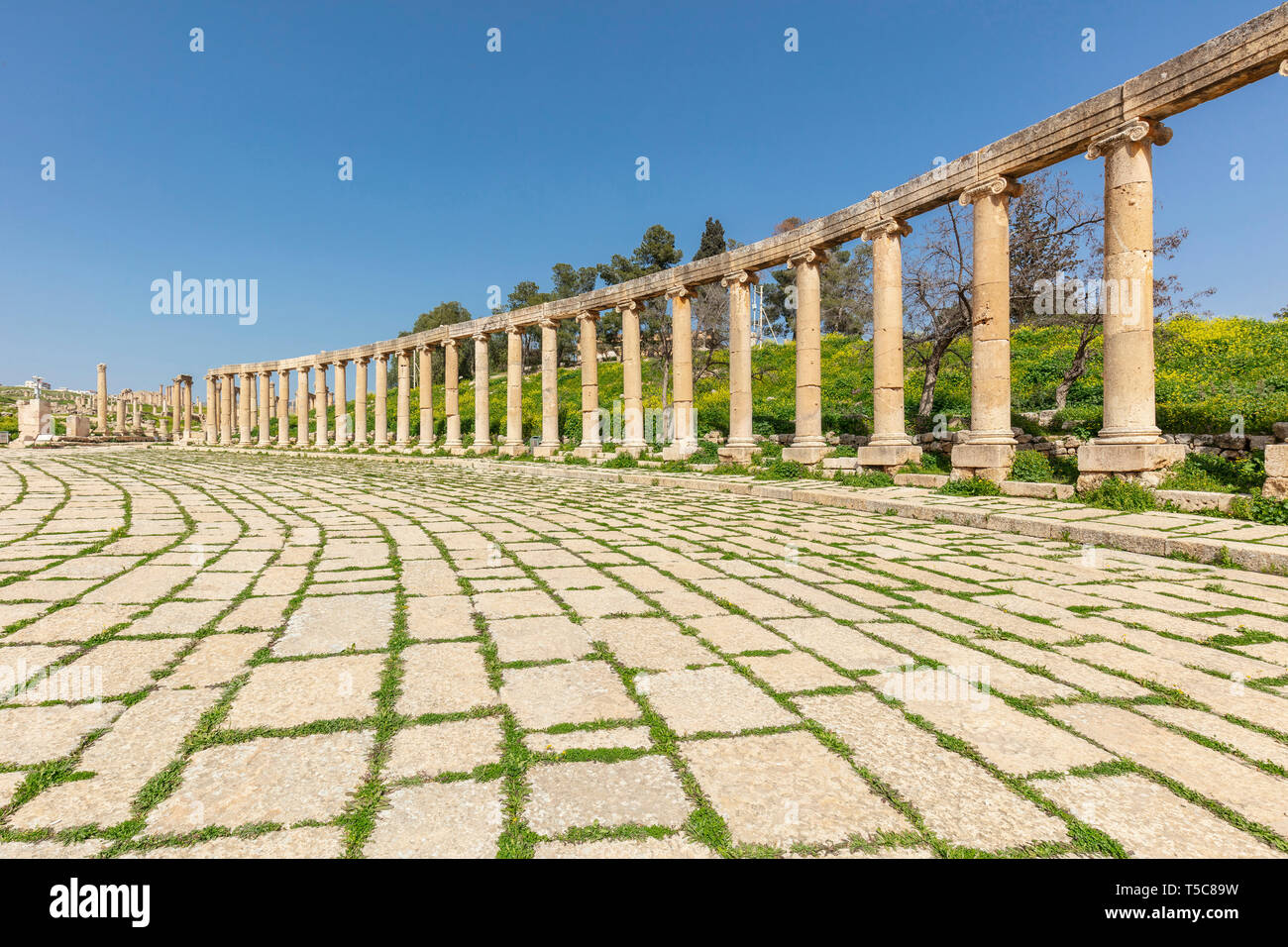 Amman, Jordan. detail of Roman columns inside the citadel, known archaeological site of tourism destination. Stock Photo