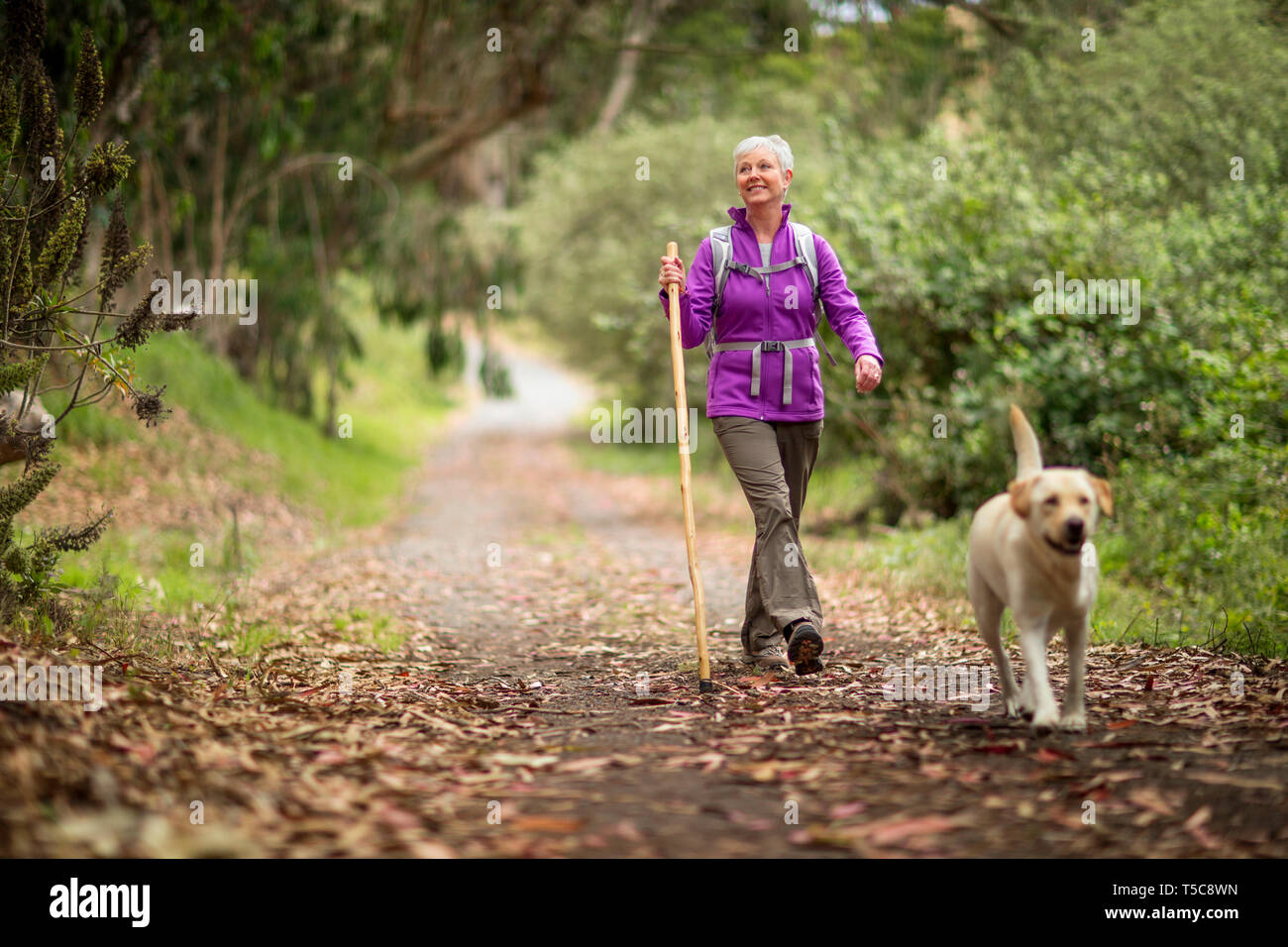 Mature woman on a rural hike with her dog. Stock Photo