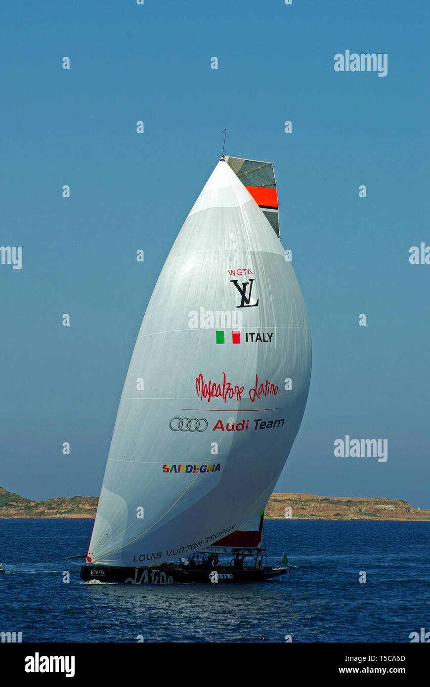 Future Outlook and Next Steps