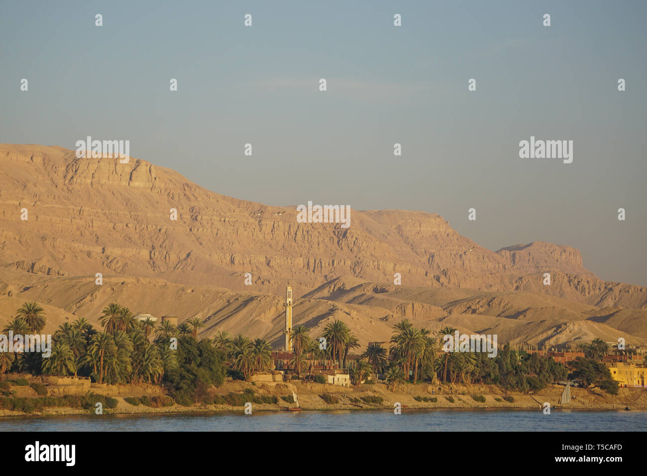 Nile River, Egypt: Minaret, houses, date palm trees, feluccas (sailboats), and large sand dunes at sunset along the west bank of the Nile River. Stock Photo