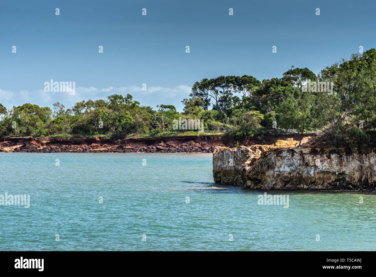 Darwin Australia February 22, 2019 East Point Shoreline shows brown
