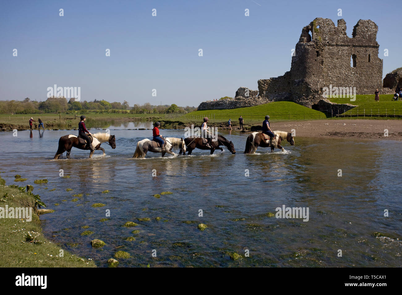 Caradoc of llancarfans hires stock photography and images Alamy